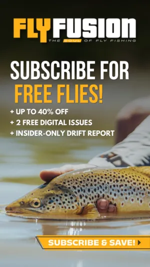 Sidebar Ad Demo